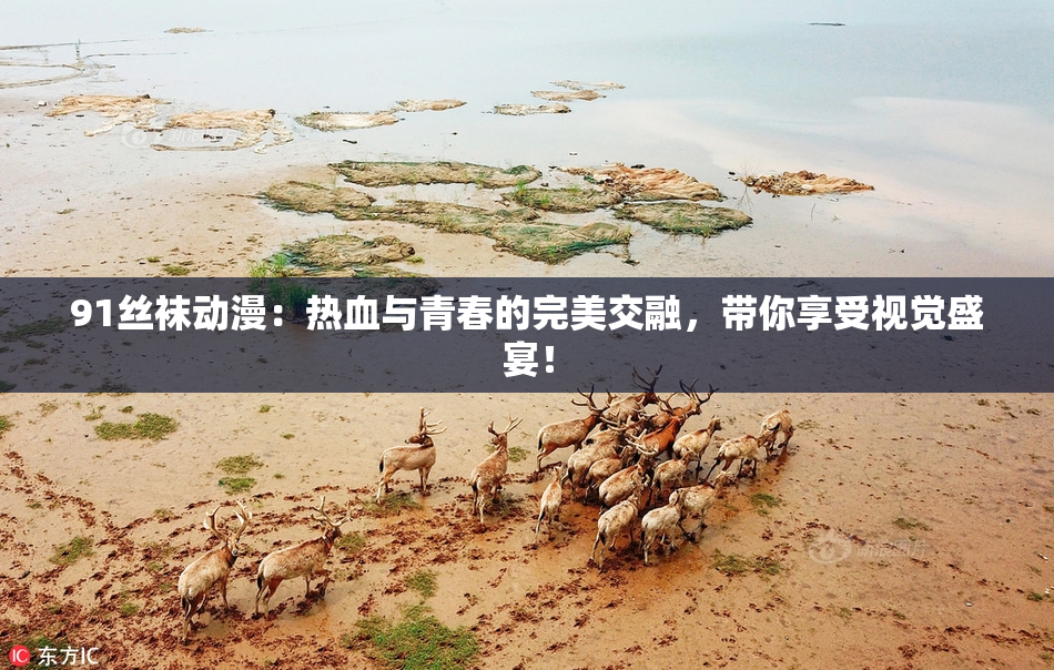 91丝袜动漫：热血与青春的完美交融，带你享受视觉盛宴！