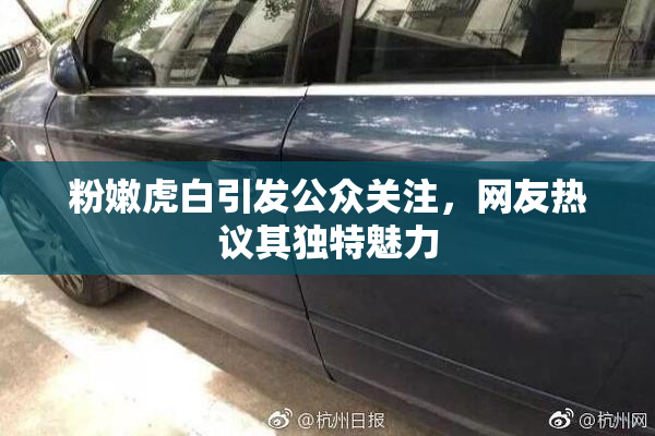 粉嫩虎白引发公众关注，网友热议其独特魅力