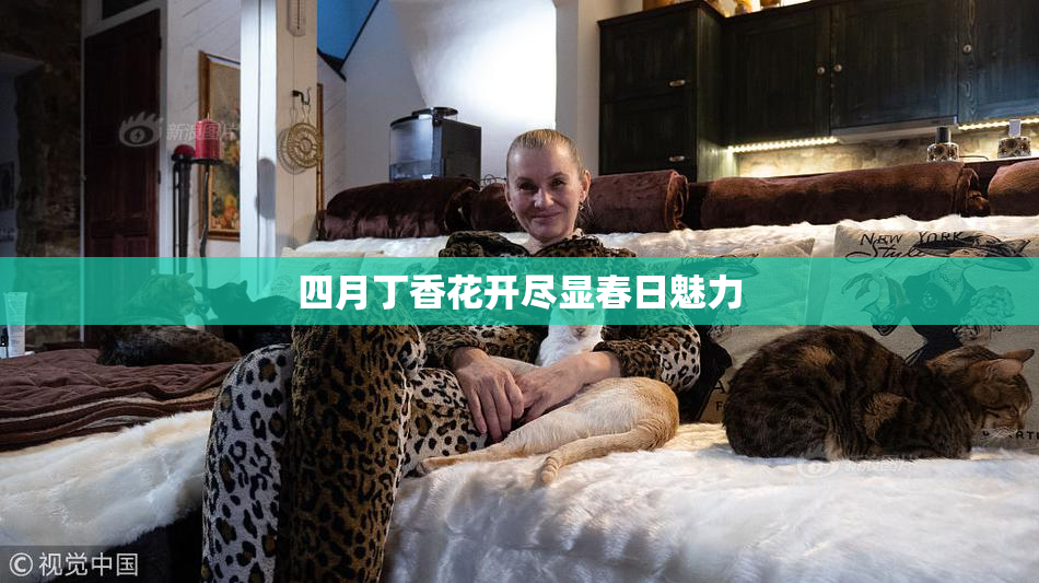 四月丁香花开尽显春日魅力