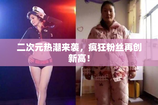 二次元热潮来袭，疯狂粉丝再创新高！