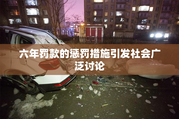 六年罚款的惩罚措施引发社会广泛讨论
