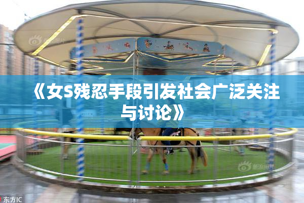 《女S残忍手段引发社会广泛关注与讨论》