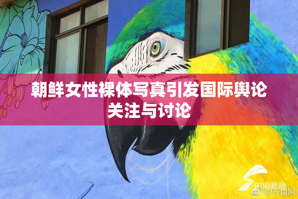 朝鲜女性裸体写真引发国际舆论关注与讨论