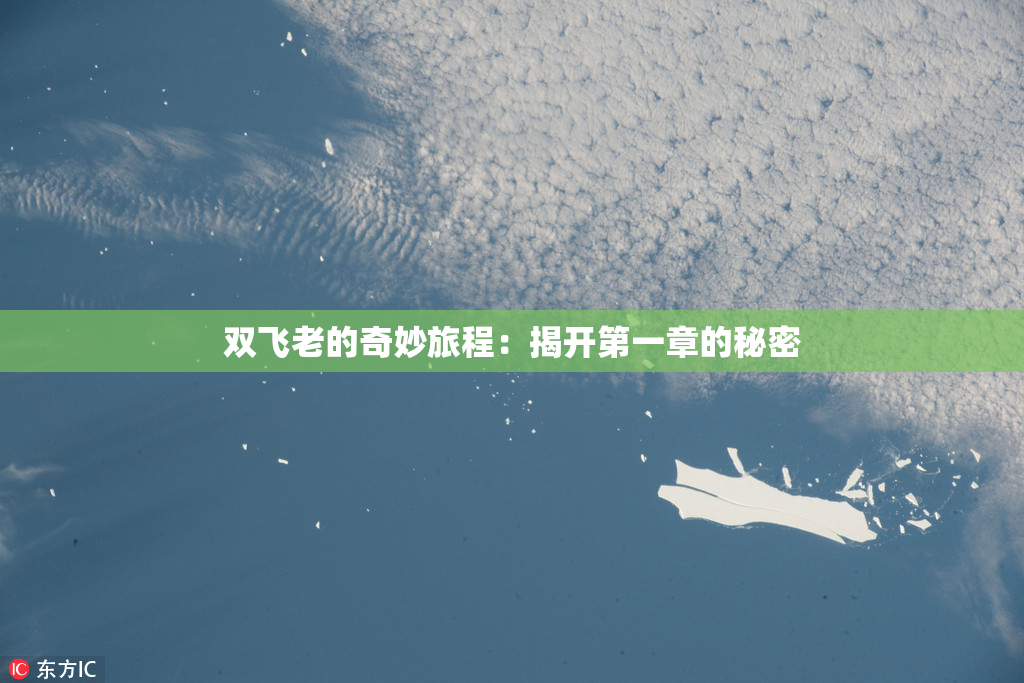 双飞老的奇妙旅程：揭开第一章的秘密