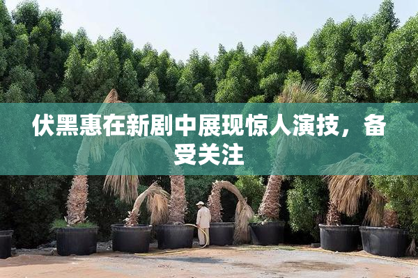 伏黑惠在新剧中展现惊人演技，备受关注