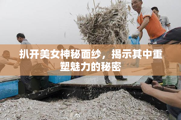 扒开美女神秘面纱，揭示其中重塑魅力的秘密