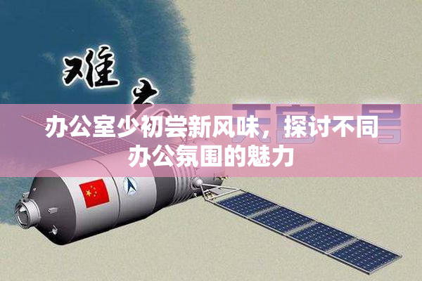办公室少初尝新风味，探讨不同办公氛围的魅力