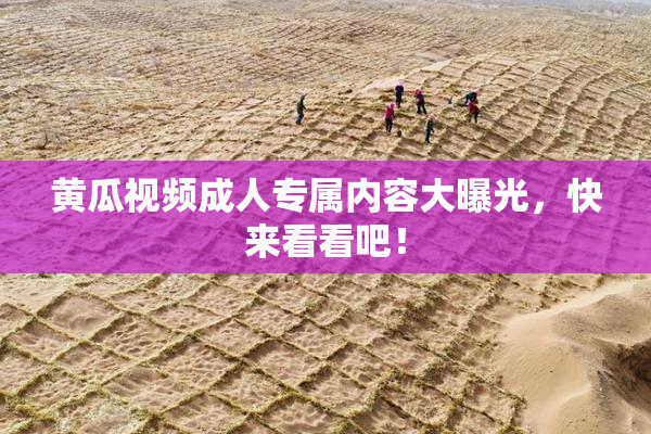 黄瓜视频成人专属内容大曝光，快来看看吧！