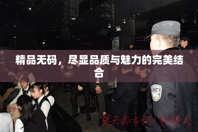 精品无码，尽显品质与魅力的完美结合