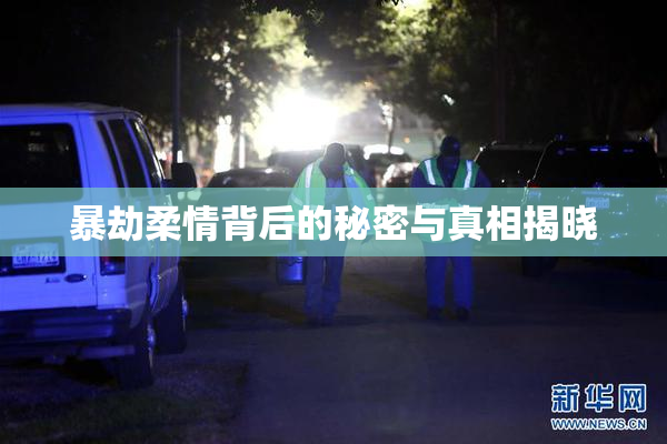 暴劫柔情背后的秘密与真相揭晓