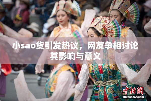 小sao货引发热议，网友争相讨论其影响与意义