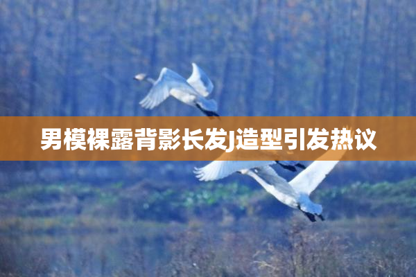 男模裸露背影长发J造型引发热议