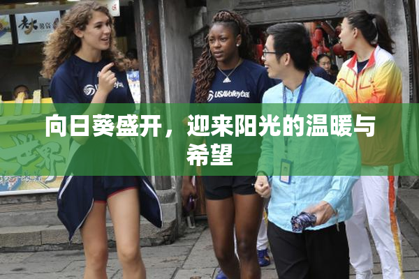 向日葵盛开，迎来阳光的温暖与希望