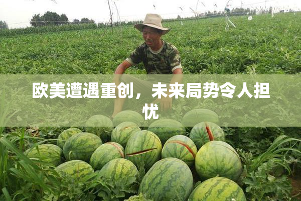 欧美遭遇重创，未来局势令人担忧