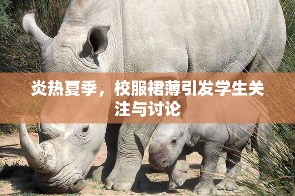 炎热夏季，校服裙薄引发学生关注与讨论