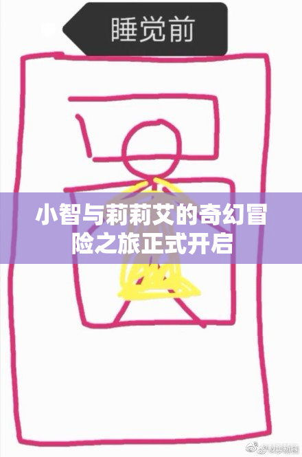 小智与莉莉艾的奇幻冒险之旅正式开启
