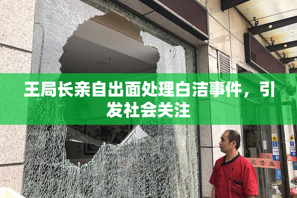 王局长亲自出面处理白洁事件，引发社会关注