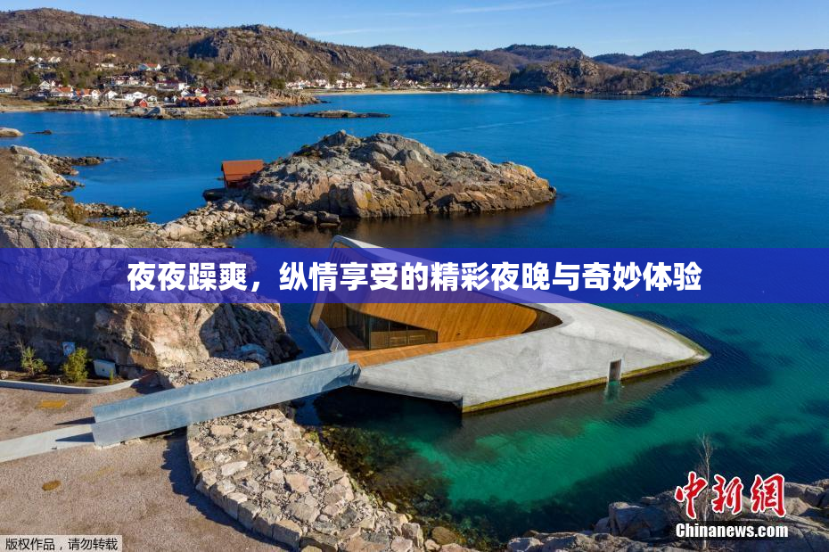 夜夜躁爽，纵情享受的精彩夜晚与奇妙体验