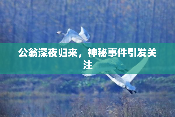公翁深夜归来，神秘事件引发关注