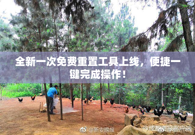 全新一次免费重置工具上线，便捷一键完成操作！