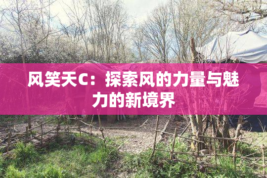 风笑天C：探索风的力量与魅力的新境界