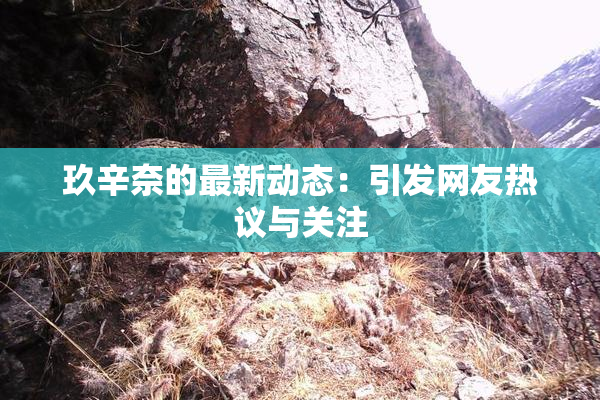 玖辛奈的最新动态：引发网友热议与关注