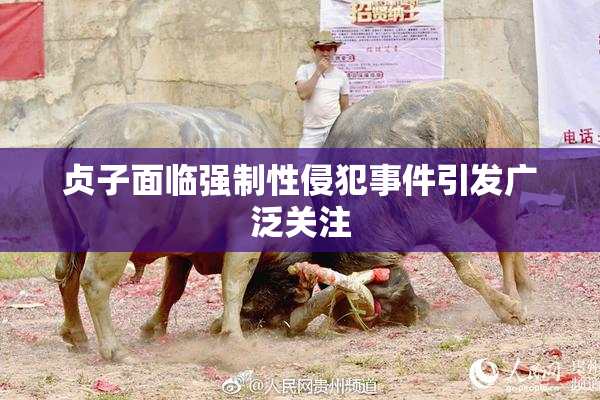 贞子面临强制性侵犯事件引发广泛关注
