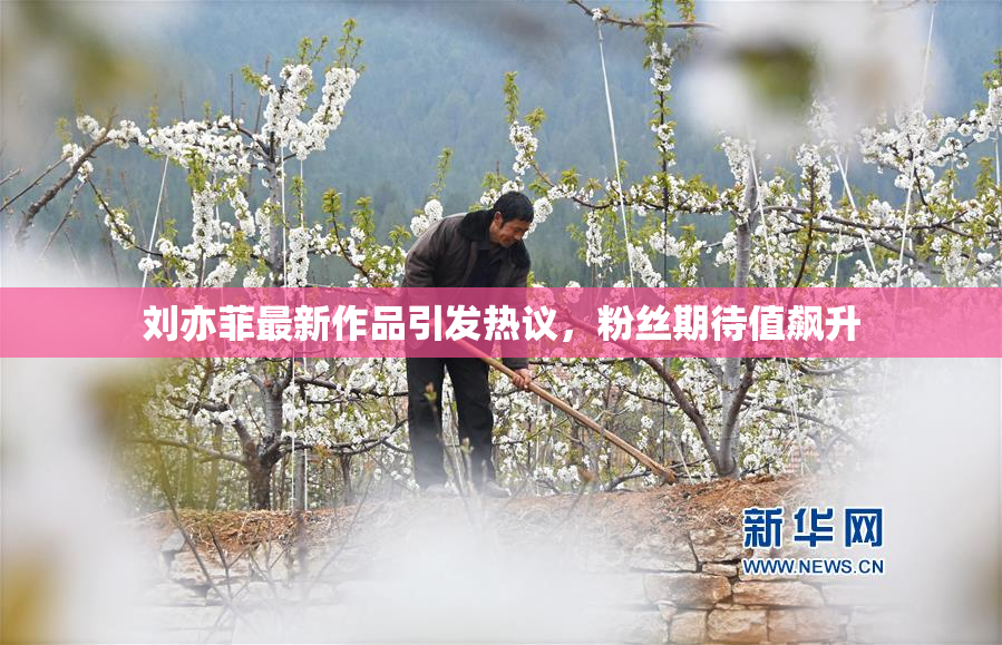 刘亦菲最新作品引发热议，粉丝期待值飙升
