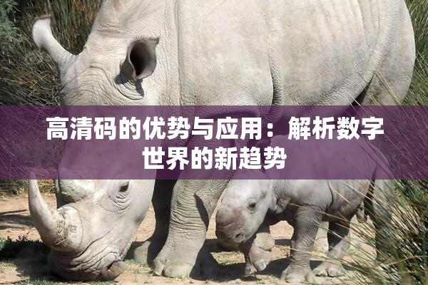 高清码的优势与应用：解析数字世界的新趋势