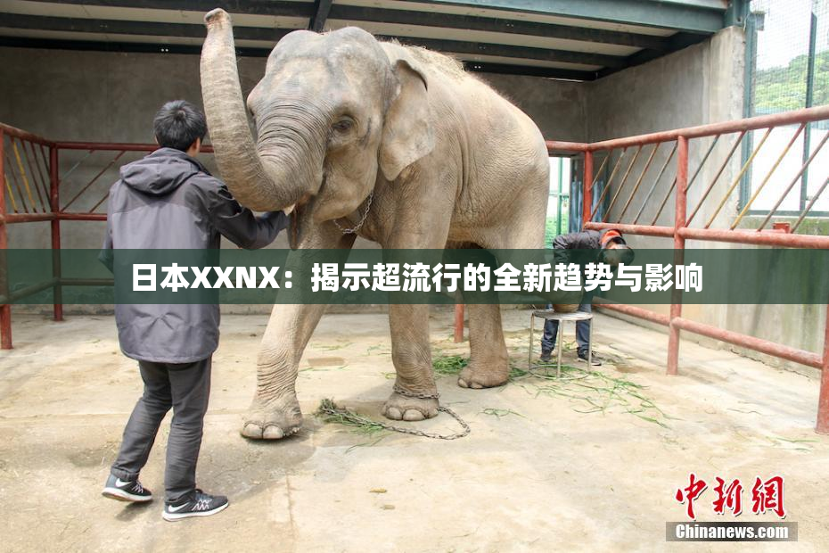 日本XXNX：揭示超流行的全新趋势与影响