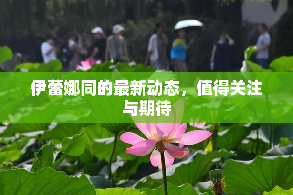 伊蕾娜同的最新动态，值得关注与期待