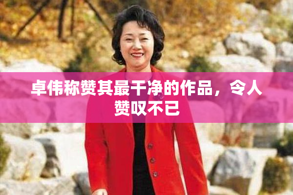 卓伟称赞其最干净的作品，令人赞叹不已