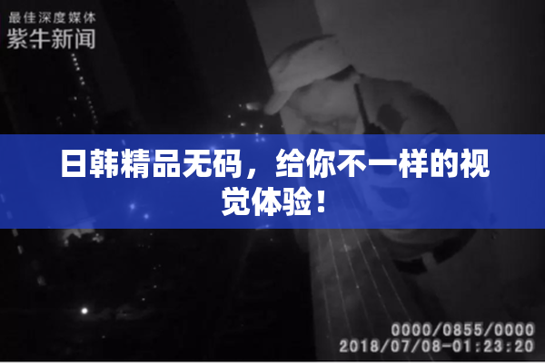 日韩精品无码，给你不一样的视觉体验！