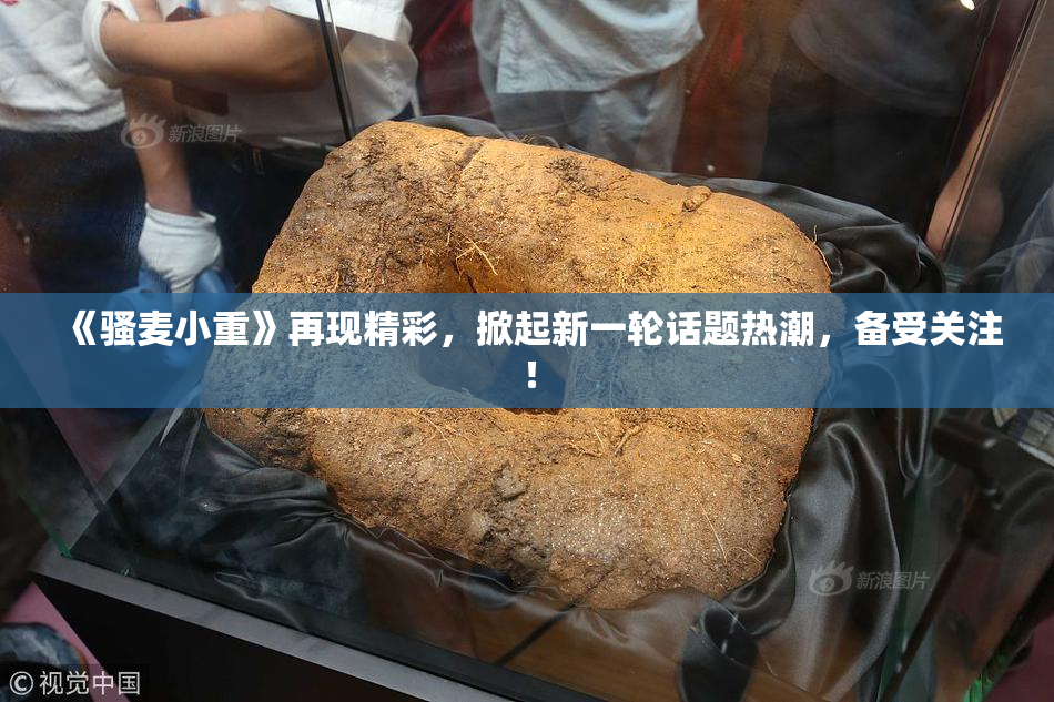 《骚麦小重》再现精彩，掀起新一轮话题热潮，备受关注！