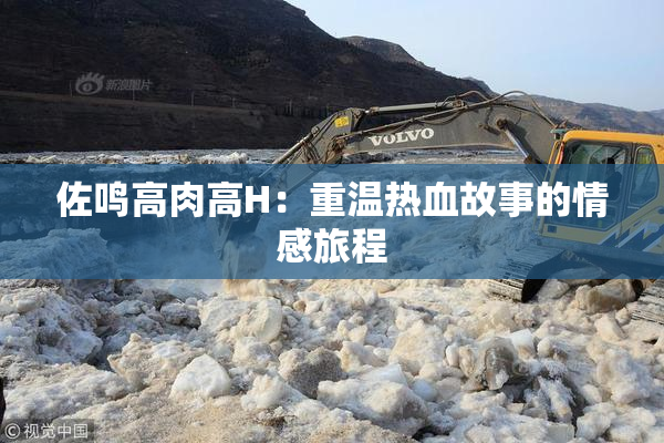 佐鸣高肉高H：重温热血故事的情感旅程