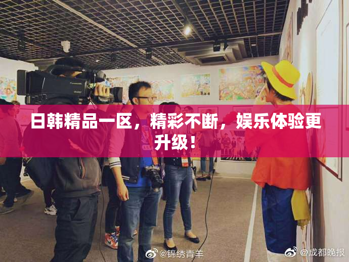 日韩精品一区，精彩不断，娱乐体验更升级！