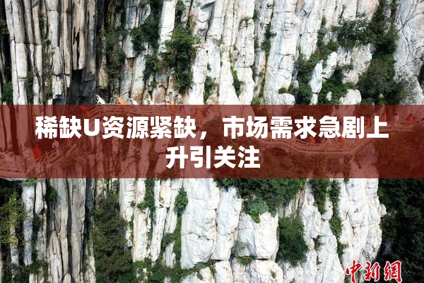 稀缺U资源紧缺，市场需求急剧上升引关注