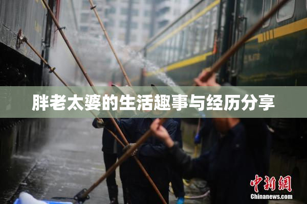 胖老太婆的生活趣事与经历分享