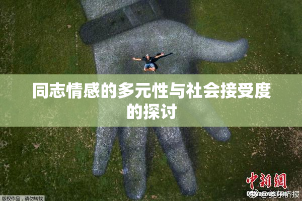 同志情感的多元性与社会接受度的探讨