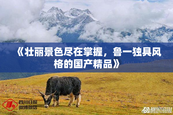 《壮丽景色尽在掌握，鲁一独具风格的国产精品》