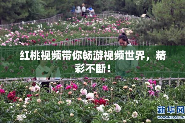 红桃视频带你畅游视频世界，精彩不断！