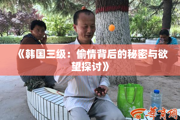 《韩国三级：偷情背后的秘密与欲望探讨》