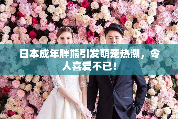 日本成年胖熊引发萌宠热潮，令人喜爱不已！
