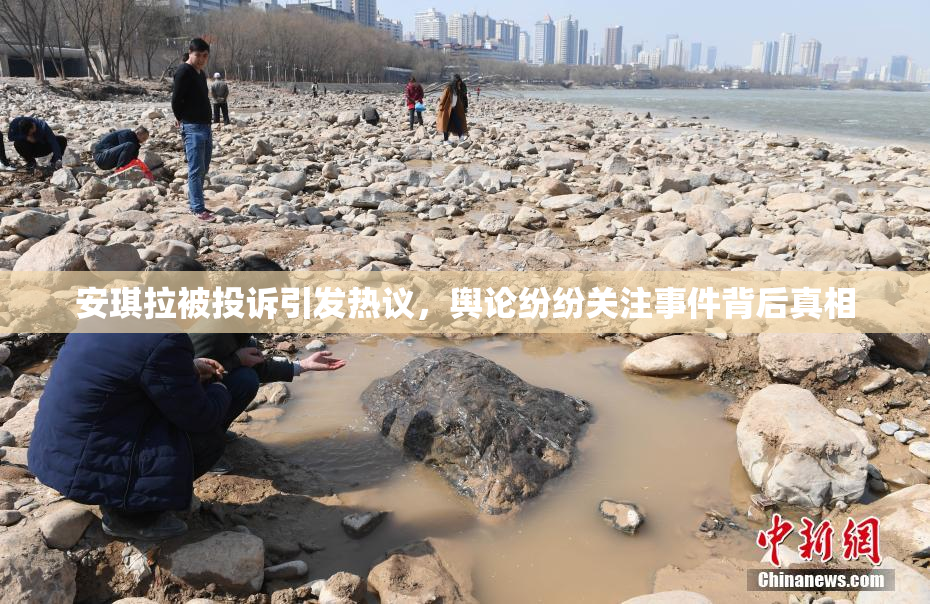安琪拉被投诉引发热议，舆论纷纷关注事件背后真相
