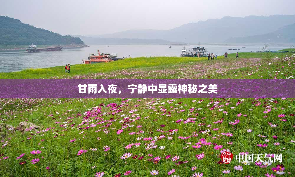 甘雨入夜，宁静中显露神秘之美