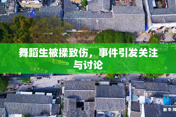 舞蹈生被揉致伤，事件引发关注与讨论