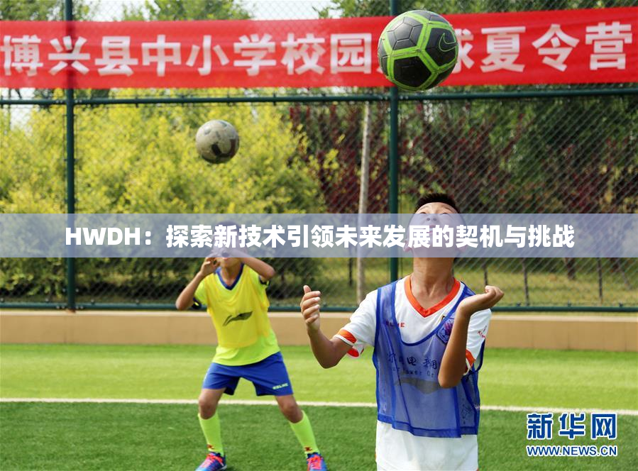 HWDH：探索新技术引领未来发展的契机与挑战