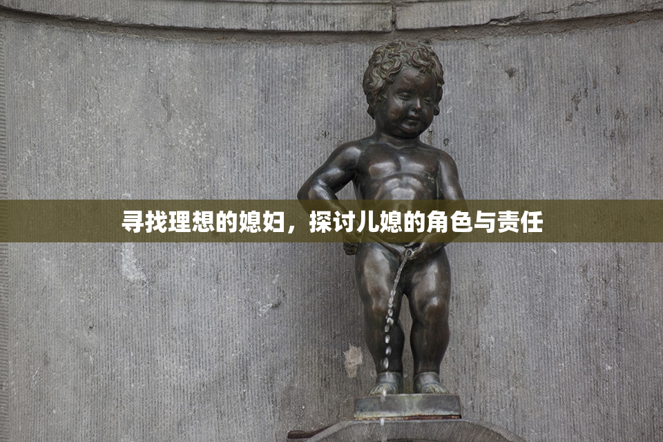 寻找理想的媳妇，探讨儿媳的角色与责任