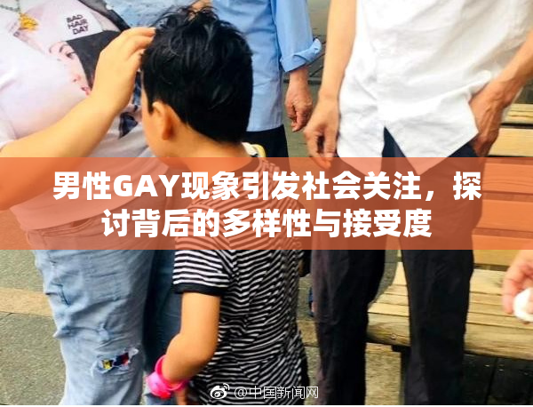 男性GAY现象引发社会关注，探讨背后的多样性与接受度