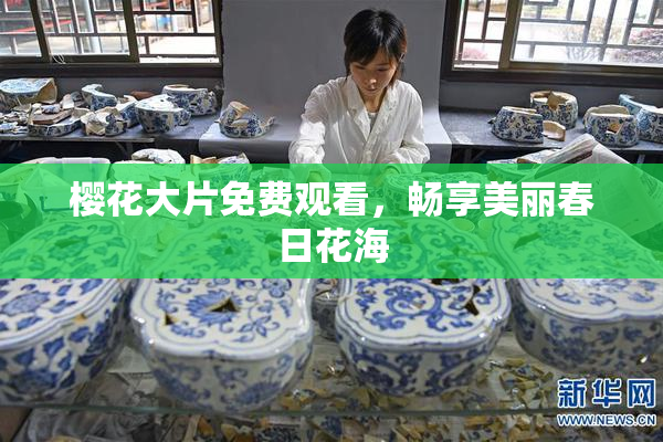 樱花大片免费观看，畅享美丽春日花海